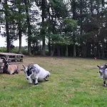 Bellwether